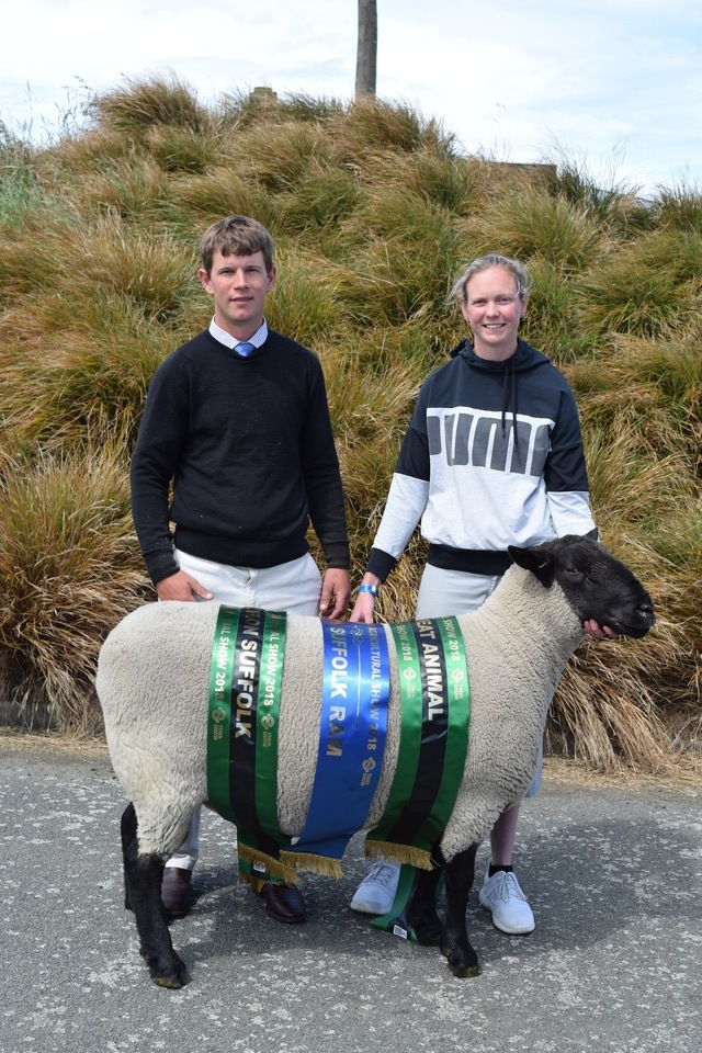 Limavady Stud win Best Meat breed sheep of NZ Ag show.