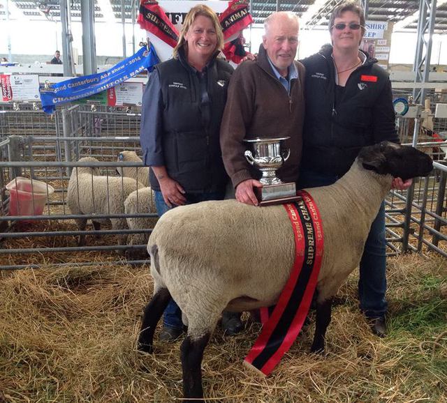SUFFOLK RAM WINS OVERALL SUPREME ANIMAL AT CANTERBURY A&P SHOW.