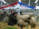 Tawhai Suffolk Stud Website